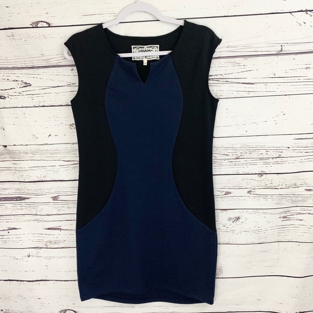 Pink Martini Tristi Colorblock Ponte Dress